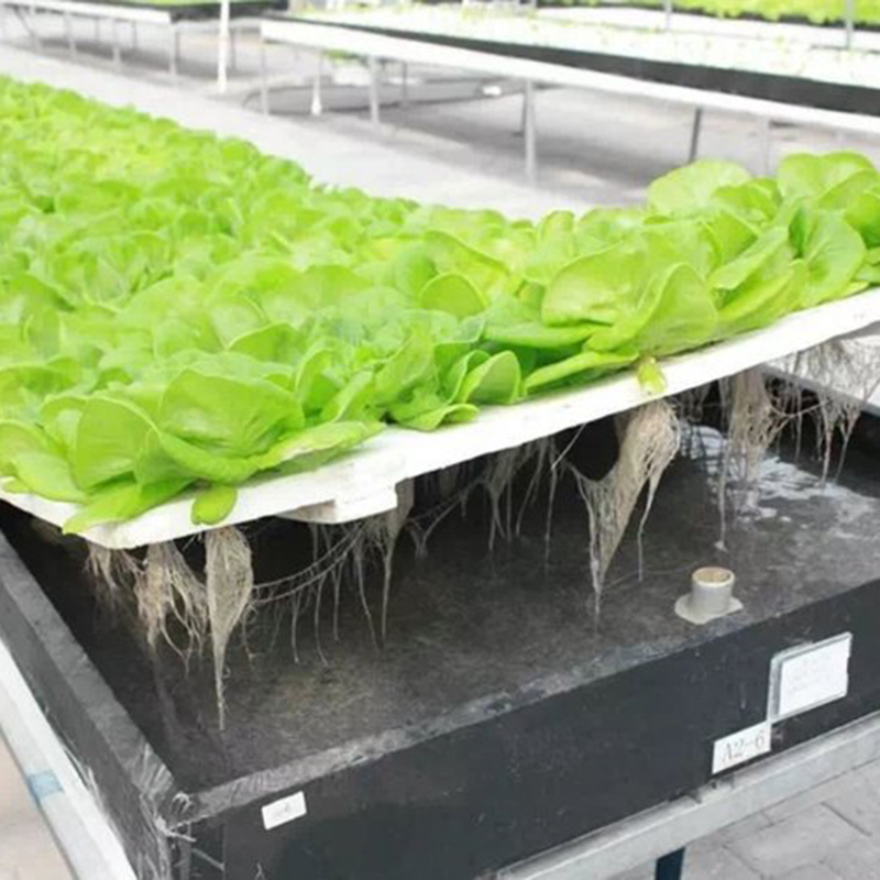牡丹江市水培设备水肥机 - 推荐